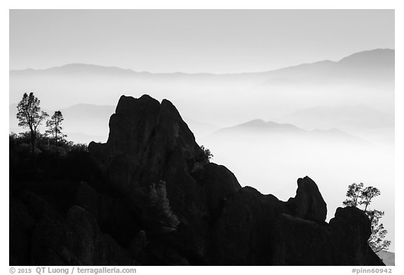 Silhouetted pinnacles and trees, foggy mountains. Pinnacles National Park (black and white)