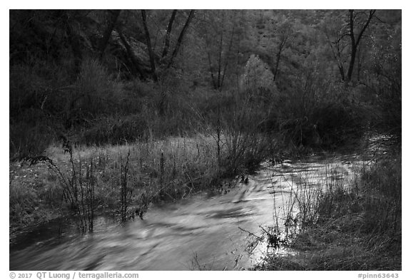 Chalone Creek flowing. Pinnacles National Park (black and white)