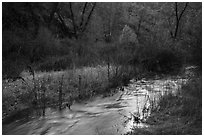 Chalone Creek flowing. Pinnacles National Park ( black and white)