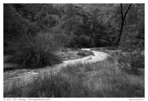 Chalone Creek in winter. Pinnacles National Park (black and white)