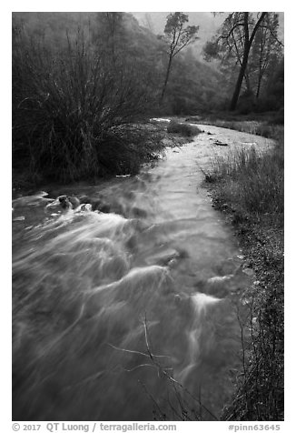 Chalone Creek flowing fast on rainy day. Pinnacles National Park (black and white)