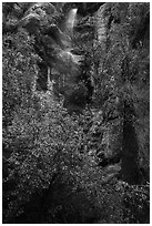 Cliff and Moses Spring. Pinnacles National Park ( black and white)