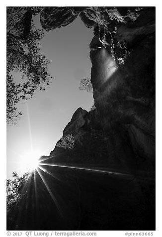 Sun and Moses Spring waterfall, looking up. Pinnacles National Park (black and white)