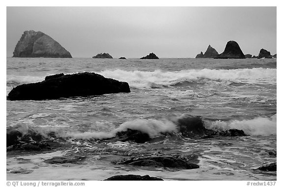 Seastacks and surf in foggy weather, Hidden Beach. Redwood National Park (black and white)