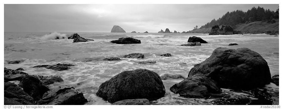 Misty seascape with boulders. Redwood National Park (black and white)