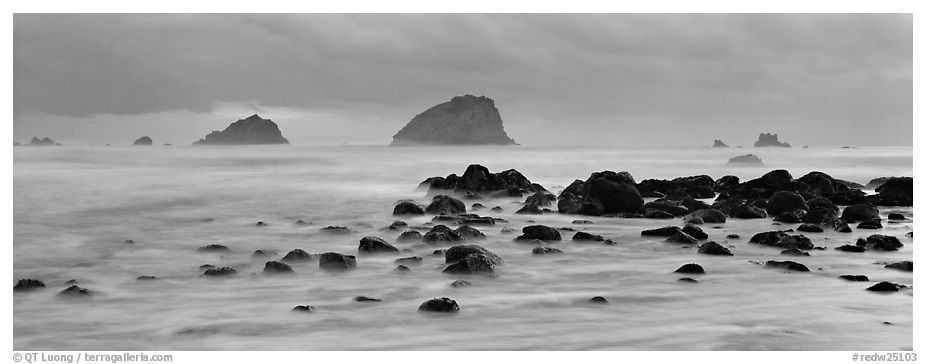 Rocks and seastacks at dusk. Olympic National Park (black and white)