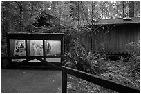 Exhibit and visitor center, Jedediah Smith Redwoods State Park. Redwood National Park ( black and white)