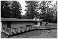 Hiouchi Information center. Redwood National Park ( black and white)
