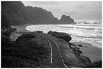 Trail and Enderts Beach. Redwood National Park ( black and white)