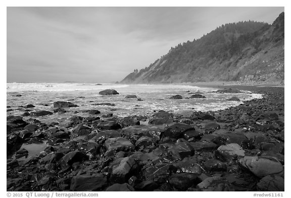 Enderts Beach. Redwood National Park (black and white)