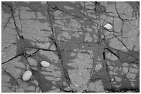 Close-up of rock slab with pebbles and shell, Enderts Beach. Redwood National Park ( black and white)