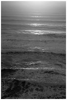 Waves lit by setting sun from above. Redwood National Park ( black and white)