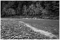 Smith River in winter, Jedediah Smith Redwoods State Park. Redwood National Park ( black and white)