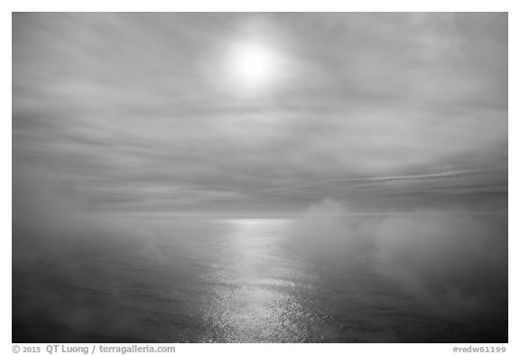 Veilled sun and fog floating above Ocean. Redwood National Park (black and white)