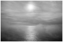 Veilled sun and fog floating above Ocean. Redwood National Park ( black and white)