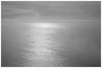 Ocean with sun reflection and fog. Redwood National Park ( black and white)