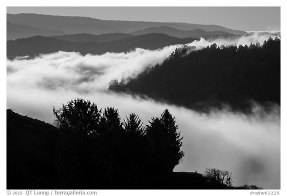 Ridges and low fog, Klamath River valley. Redwood National Park (black and white)