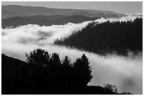 Ridges and low fog, Klamath River valley. Redwood National Park ( black and white)