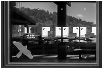 Hillside with trees, ocean,  Kuchel Visitor Center window reflexion. Redwood National Park ( black and white)