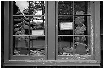 Prairie and forest, Prairie Creek Redwoods Visitor Center window reflexion. Redwood National Park ( black and white)