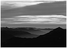 Ridges and sea of clouds at sunset. Sequoia National Park ( black and white)