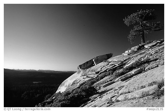 Granite Slab, sunrise. Sequoia National Park (black and white)