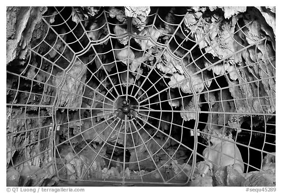 Spiderweb-like gate closing  Crystal Cave. Sequoia National Park (black and white)