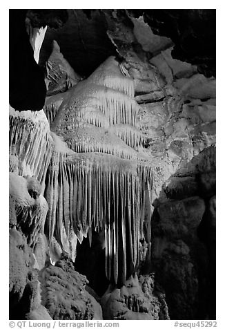 Stalactites and curtains, Crystal Cave. Sequoia National Park (black and white)