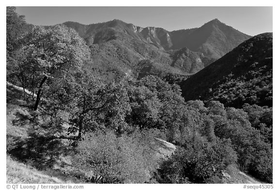 Sierra Nevada western foothills in summer. Sequoia National Park (black and white)