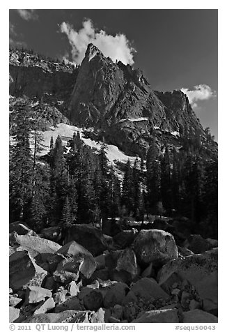 The Watchtower. Sequoia National Park (black and white)