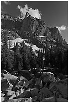The Watchtower. Sequoia National Park ( black and white)