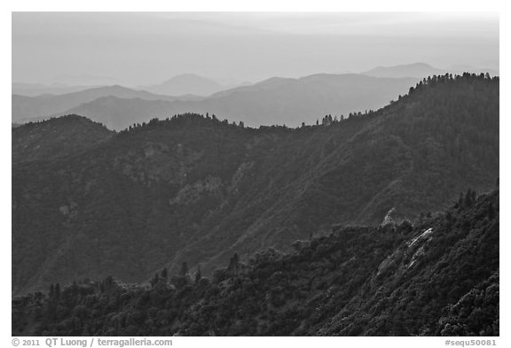 Forested ridges at sunset seen from Moro Rock. Sequoia National Park (black and white)
