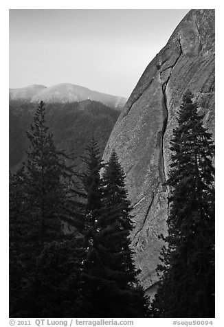 Forest and base of Moro Rock at dawn. Sequoia National Park (black and white)
