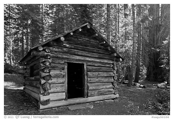 Squatters Cabin. Sequoia National Park (black and white)