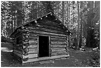 Squatters Cabin. Sequoia National Park ( black and white)