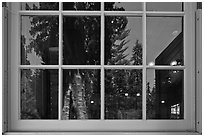 Sentinel tree, Giant Forest Museum window reflexion. Sequoia National Park ( black and white)