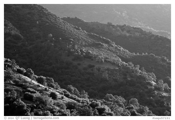 Hill ridges. Sequoia National Park (black and white)