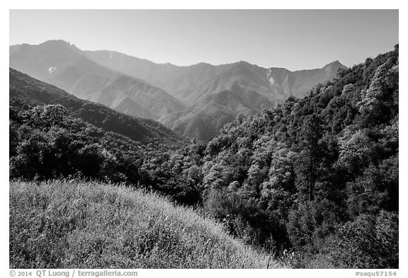 Hills and mountains in spring near Amphitheater Point. Sequoia National Park (black and white)