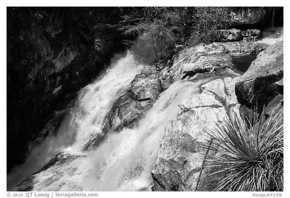 Lower Marble Fall. Sequoia National Park (black and white)