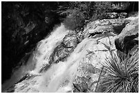 Lower Marble Fall. Sequoia National Park ( black and white)