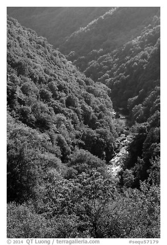 Marble fork of Kaweah River in deep canyon. Sequoia National Park (black and white)