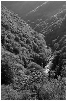 Marble fork of Kaweah River in deep canyon. Sequoia National Park ( black and white)