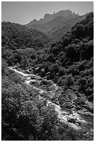 Middle Fork of the Kaweah River near Buckeye Flat. Sequoia National Park ( black and white)