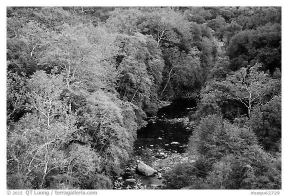 Middle Fork of the Kaweah River in autumn. Sequoia National Park (black and white)