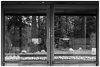 Lodgepole Visitor Center window reflexion. Sequoia National Park ( black and white)