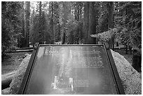 Largest tree on earth interpretive sign. Sequoia National Park ( black and white)