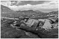 Stream in alpine meadow with rocks. Sequoia National Park ( black and white)