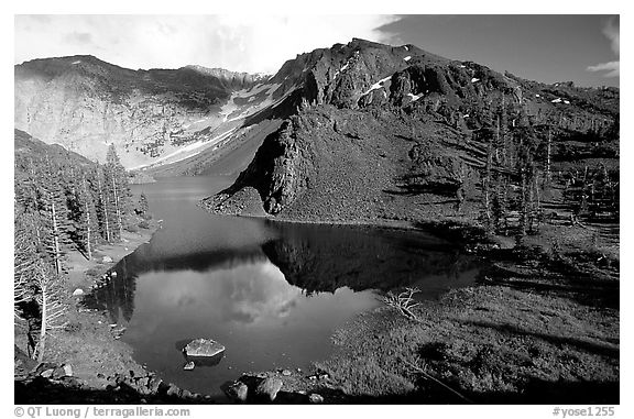 Ellery Lake in summer. California, USA (black and white)