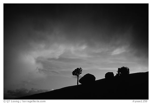 Pine and glacial erratics, dusk, Olmsted point. Yosemite National Park (black and white)