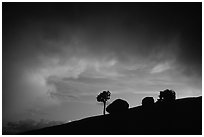 Pine and glacial erratics, dusk, Olmsted point. Yosemite National Park, California, USA. (black and white)